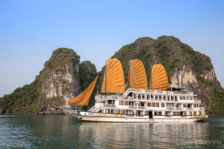 Ancora Cruise image 0