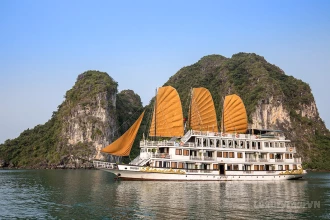 Ancora Cruise image 0