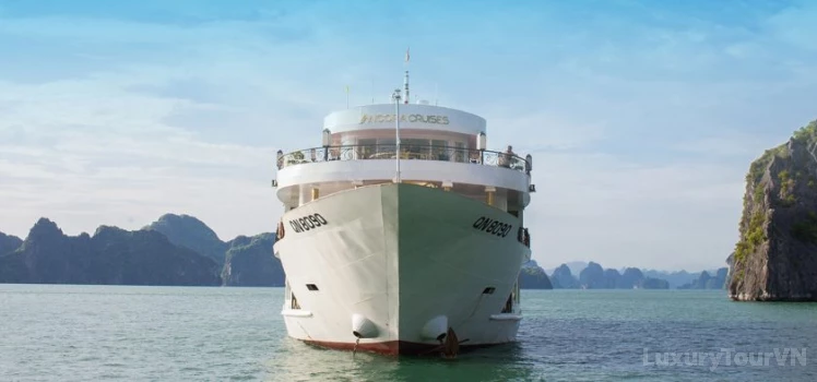 Ancora Cruise image 1