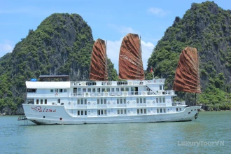 Paloma Cruise image 0