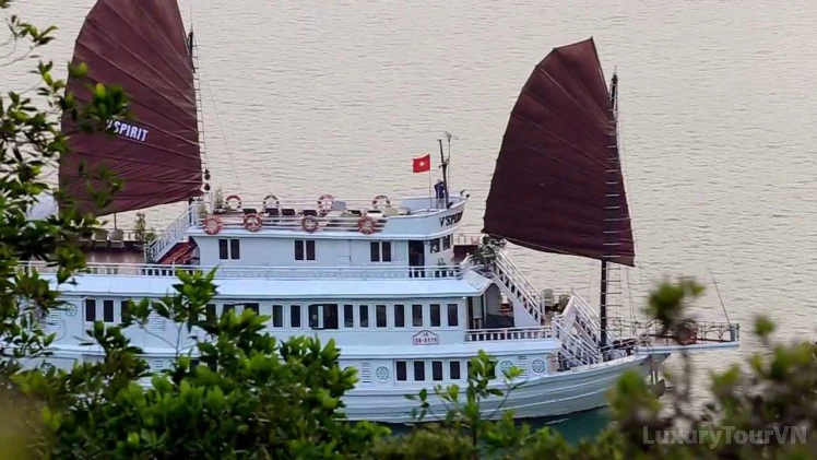 V'sprit Cruise image 0