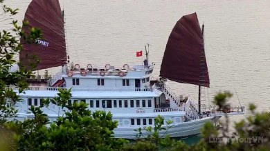 V'sprit Cruise image 0