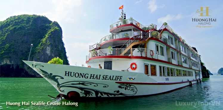 Huong Hai SeaLife Cruise image 0