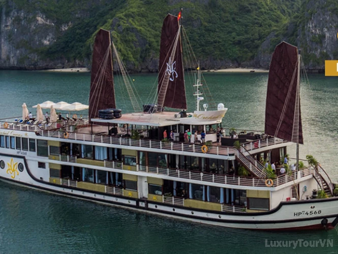 Orchid Cruise image 0