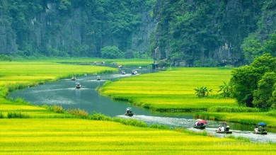 Hoa Lu – Tam Coc 1 day tour image 0