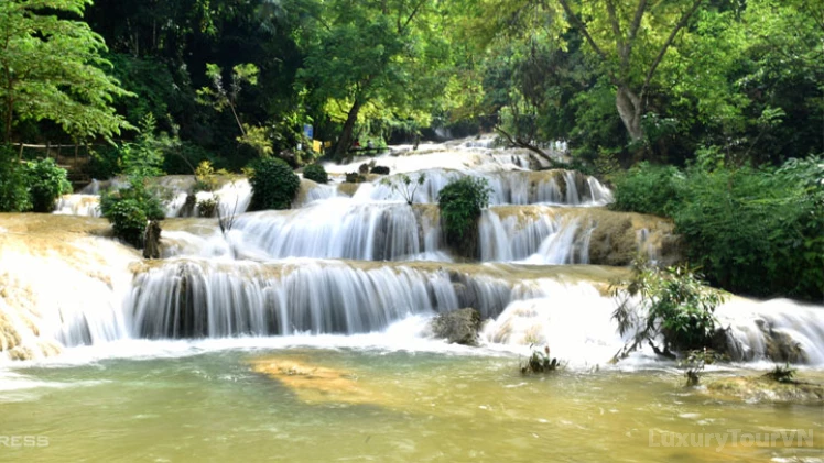 Cuc Phuong National Park - Full Day Tour image 0