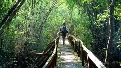 Cuc Phuong National Park - Full Day Tour image 7