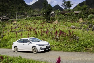 Sapa - Bac Ha Private Car transfer image 1